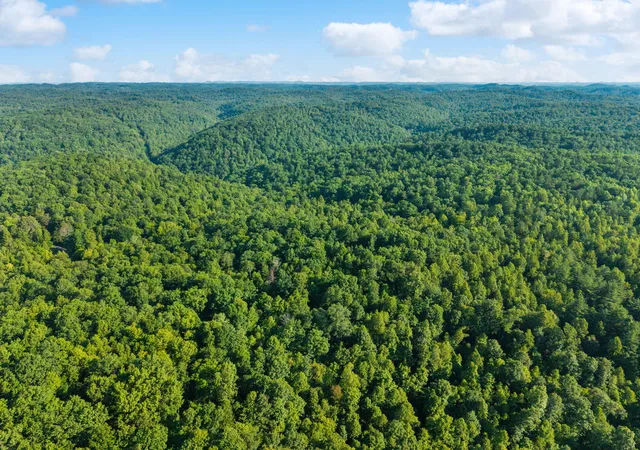 Photo 4 of Land for sale at 5399 Patsey Pilot Rd, Ravenna, KY 40472 | MLS# 26019699 | Listing updated on 2026-07-27
