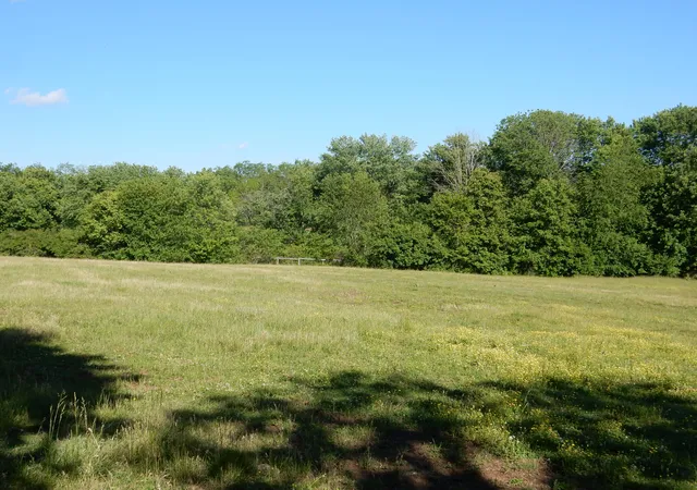 Photo 3 of Sale Pending at 3770 Delaney Fry Rd, Versailles, KY 40383 | MLS# 26019911 | Listing updated on 2026-09-10