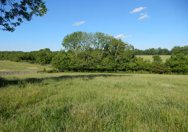 Photo 4 of Sale Pending at 3770 Delaney Fry Rd, Versailles, KY 40383 | MLS# 26019911 | Listing updated on 2026-09-10