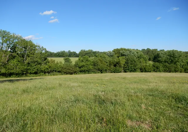 Photo 6 of Sale Pending at 3770 Delaney Fry Rd, Versailles, KY 40383 | MLS# 26019911 | Listing updated on 2026-09-10