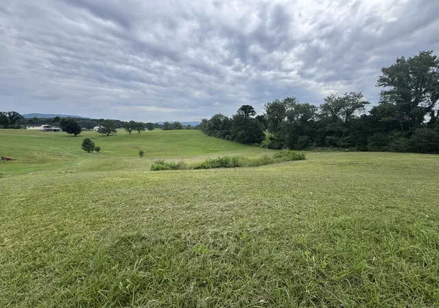 Photo 2 of Land for sale at 267 J O Stockton Pond Rd, Albany, KY 42602 | MLS# 26019970 | Listing updated on 2026-07-29