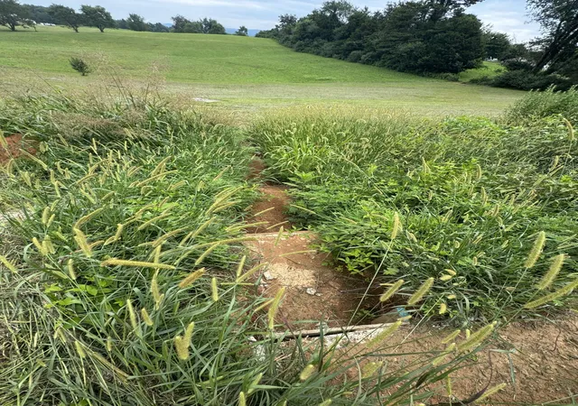 Photo 3 of Land for sale at 267 J O Stockton Pond Rd, Albany, KY 42602 | MLS# 26019970 | Listing updated on 2026-07-29