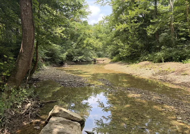 Photo 1 of Land for sale at 399 Whitaker Cemetery Rd, Somerset, KY 42503 | MLS# 26020003 | Listing updated on 2026-09-15