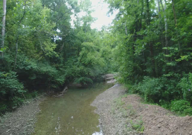 Photo 2 of Land for sale at 399 Whitaker Cemetery Rd, Somerset, KY 42503 | MLS# 26020003 | Listing updated on 2026-09-15