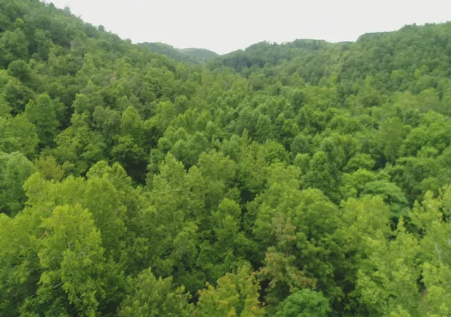 Photo 3 of Land for sale at 399 Whitaker Cemetery Rd, Somerset, KY 42503 | MLS# 26020003 | Listing updated on 2026-09-15