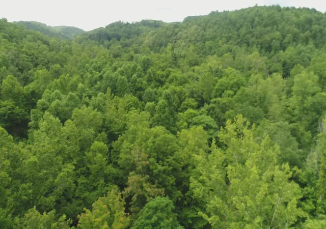 Photo 4 of Land for sale at 399 Whitaker Cemetery Rd, Somerset, KY 42503 | MLS# 26020003 | Listing updated on 2026-09-15