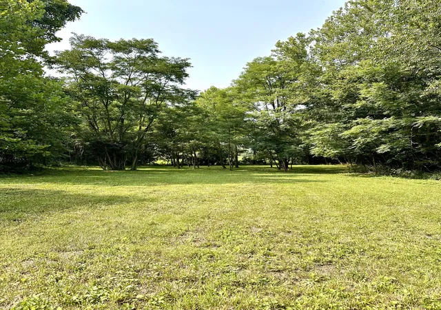 Land for sale at 1-a Concord Rd, Carlisle, KY 40311 | MLS# 26020048