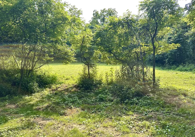 Photo 3 of Land for sale at 1 A Concord Rd, Carlisle, KY 40311 | MLS# 26020048 | Listing updated on 2026-09-09