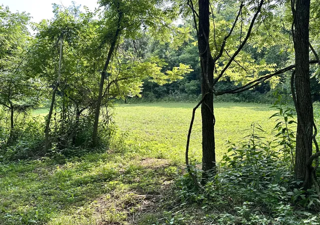 Photo 3 of Land for sale at 1-a Concord Rd, Carlisle, KY 40311 | MLS# 26020048 | Listing updated on 2026-09-09