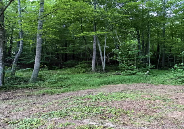 Photo 3 of Land for sale at 0 Mainous Rd, Booneville, KY 41314 | MLS# 26020063 | Listing updated on 2026-09-12