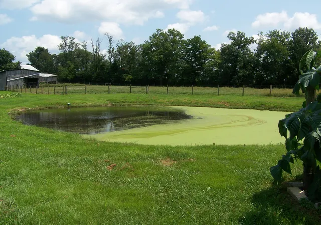 Photo 4 of Sale Pending at 7715 Cream Aly Rd, Jeffersonville, KY 40337 | MLS# 26020319 | Listing updated on 2026-08-28