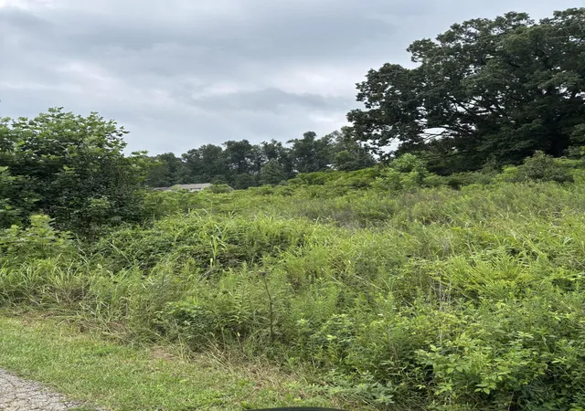 Photo 3 of Land for sale at Lot 44 Coral Ln, Mount Vernon, KY 40456 | MLS# 26020173 | Listing updated on 2026-08-06