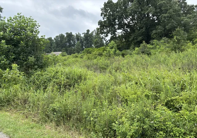 Photo 3 of Land for sale at Lot 44 Coral Ln, Mount Vernon, KY 40456 | MLS# 26020173 | Listing updated on 2026-08-06