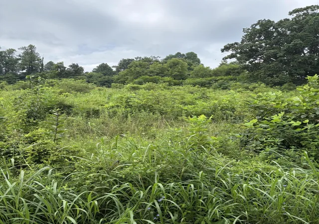 Photo 4 of Land for sale at Lot 44 Coral Ln, Mount Vernon, KY 40456 | MLS# 26020173 | Listing updated on 2026-08-06
