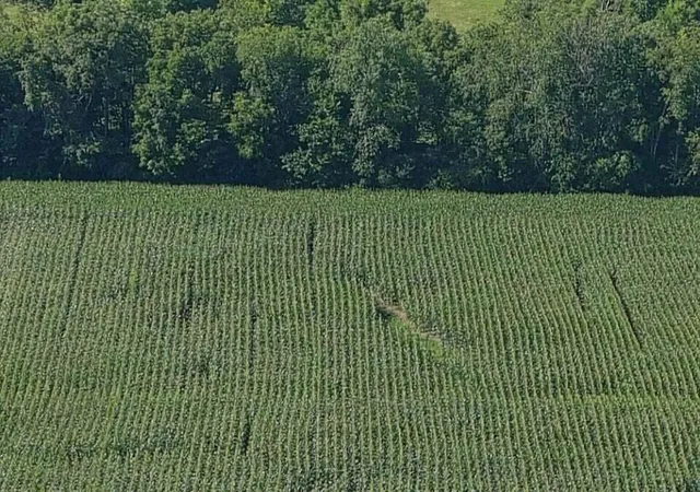 Photo 2 of Land for sale at 3330 3a Kentucky 1770, Stanford, KY 40484 | MLS# 26020072 | Listing updated on 2026-07-29