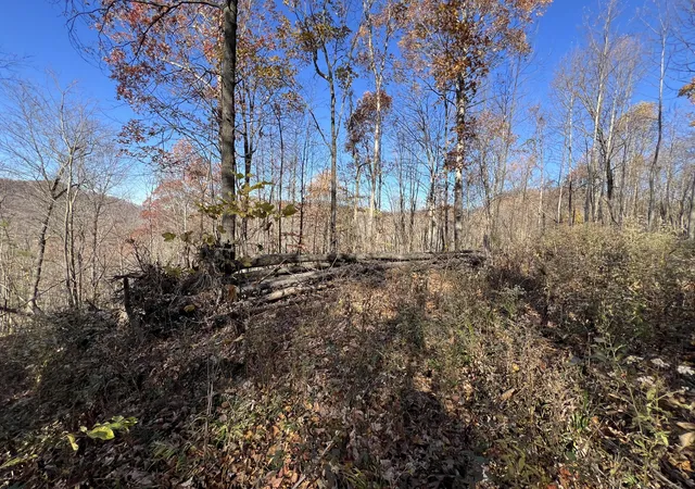 Photo 2 of Land for sale at 8888 Eades Dr, Irvine, KY 40336 | MLS# 26020128 | Listing updated on 2026-07-28