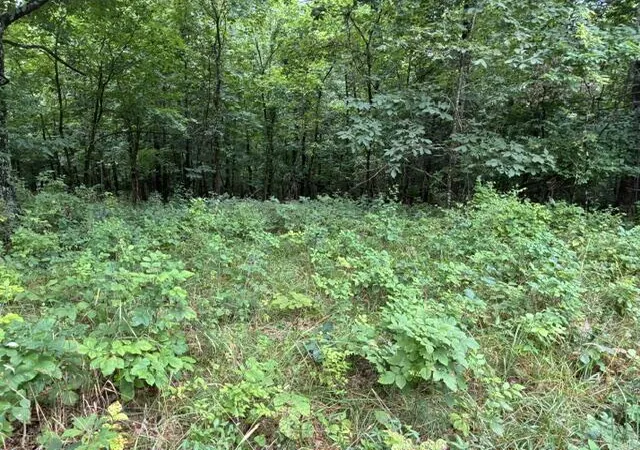 Photo 3 of Land for sale at 0 N Lang /eureka Rd, Berry, KY 41003 | MLS# 26020172 | Listing updated on 2026-08-12