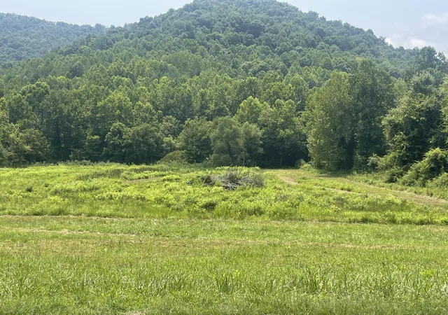 Photo 1 of Land for sale at 791 Moore Crk Rd, Flat Lick, KY 40935 | MLS# 26020307 | Listing updated on 2026-08-26