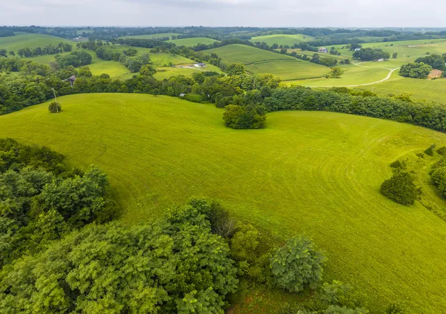 Photo 3 of Land for sale at 066 00 00 00508 Rock Ridge Rd, Paris, KY 40361 | MLS# 26020283 | Listing updated on 2026-07-29