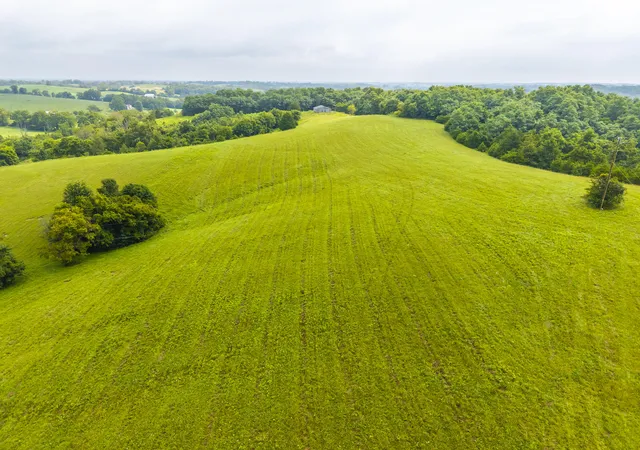Photo 3 of Land for sale at 066-00-00-00508 Rock Ridge Rd, Paris, KY 40361 | MLS# 26020283 | Listing updated on 2026-07-29