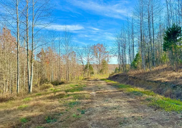 Photo 1 of Land for sale at 9108 Ky 501, Liberty, KY 42539 | MLS# 26021762 | Listing updated on 2026-08-12