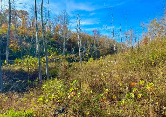 Photo 2 of Land for sale at 9108 Ky 501, Liberty, KY 42539 | MLS# 26021762 | Listing updated on 2026-08-12