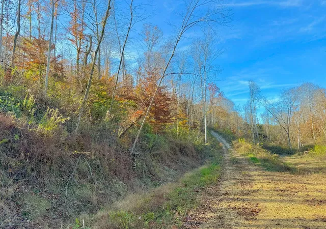 Photo 2 of Land for sale at 9108 Ky 501, Liberty, KY 42539 | MLS# 26021762 | Listing updated on 2026-08-12