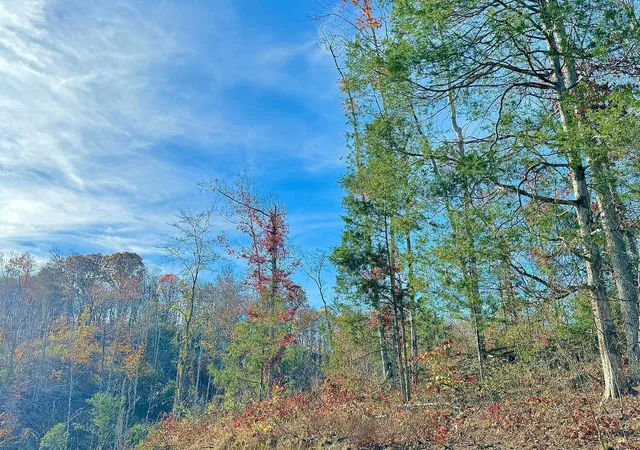 Photo 3 of Land for sale at 9108 Ky 501, Liberty, KY 42539 | MLS# 26021762 | Listing updated on 2026-08-12