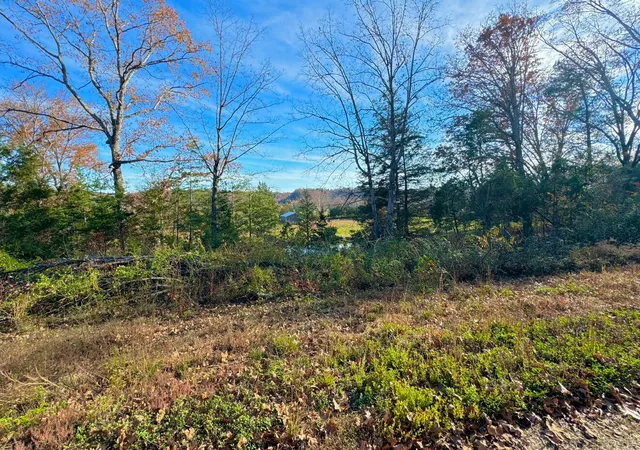 Photo 4 of Land for sale at 9108 Ky 501, Liberty, KY 42539 | MLS# 26021762 | Listing updated on 2026-08-12