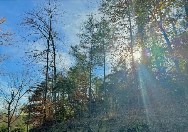 Photo 6 of Land for sale at 9108 Ky 501, Liberty, KY 42539 | MLS# 26021762 | Listing updated on 2026-08-12