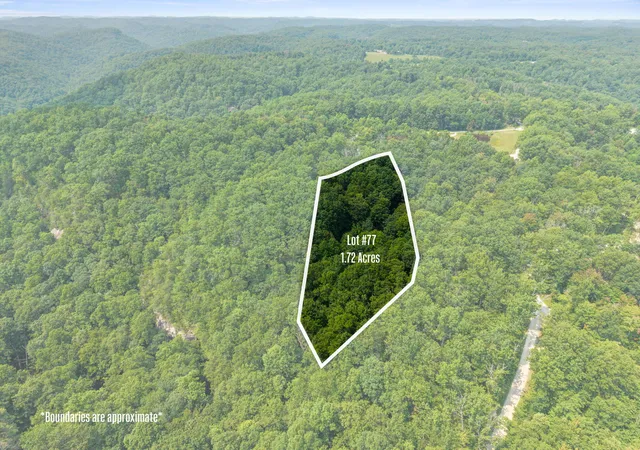 Photo 3 of Land for sale at Lot 77 193 Oak Hl Dr, Frenchburg, KY 40322 | MLS# 26020675 | Listing updated on 2026-08-02