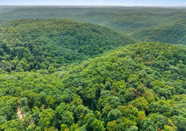 Photo 2 of Land for sale at Lot 78 245 Oak Hl Dr, Frenchburg, KY 40322 | MLS# 26020689 | Listing updated on 2026-08-02
