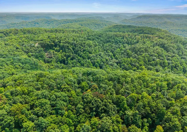 Photo 2 of Land for sale at Lot 79 301 Oak Hl Dr, Frenchburg, KY 40322 | MLS# 26021246 | Listing updated on 2026-08-06