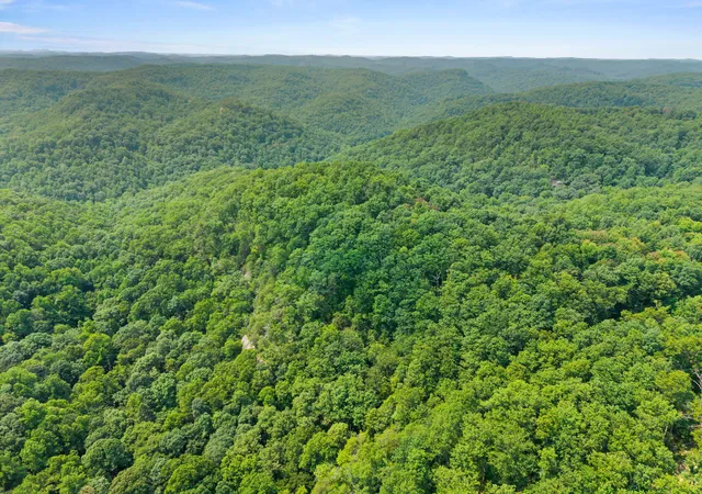 Photo 2 of Land for sale at Lot 79 301 Oak Hl Dr, Frenchburg, KY 40322 | MLS# 26021246 | Listing updated on 2026-08-06