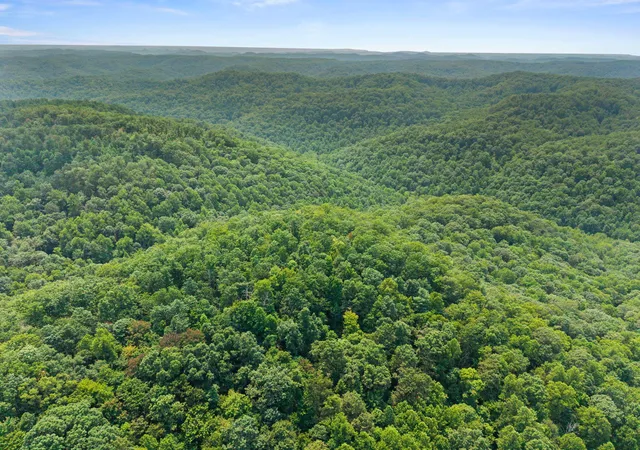 Photo 1 of Land for sale at Lot 80 315 Oak Hl Dr, Frenchburg, KY 40322 | MLS# 26020835 | Listing updated on 2026-08-04