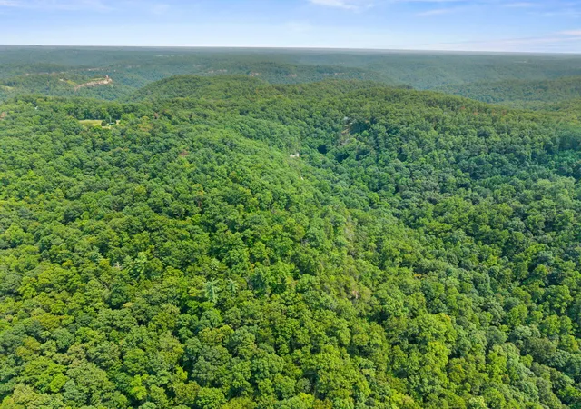 Photo 2 of Land for sale at Lot 80 315 Oak Hl Dr, Frenchburg, KY 40322 | MLS# 26020835 | Listing updated on 2026-08-04