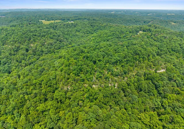 Photo 2 of Land for sale at Lot 80 315 Oak Hl Dr, Frenchburg, KY 40322 | MLS# 26020835 | Listing updated on 2026-08-04