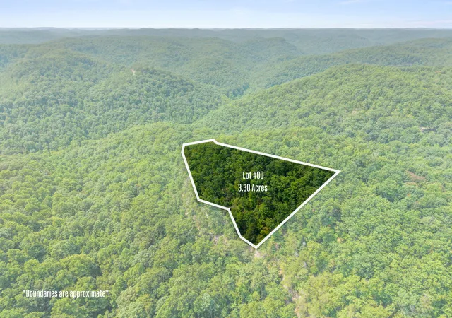 Photo 3 of Land for sale at Lot 80 315 Oak Hl Dr, Frenchburg, KY 40322 | MLS# 26020835 | Listing updated on 2026-08-04