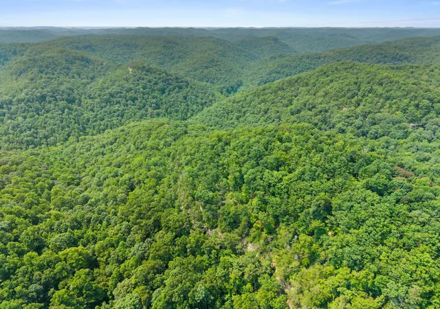 Photo 5 of Land for sale at Lot 80 315 Oak Hl Dr, Frenchburg, KY 40322 | MLS# 26020835 | Listing updated on 2026-08-04