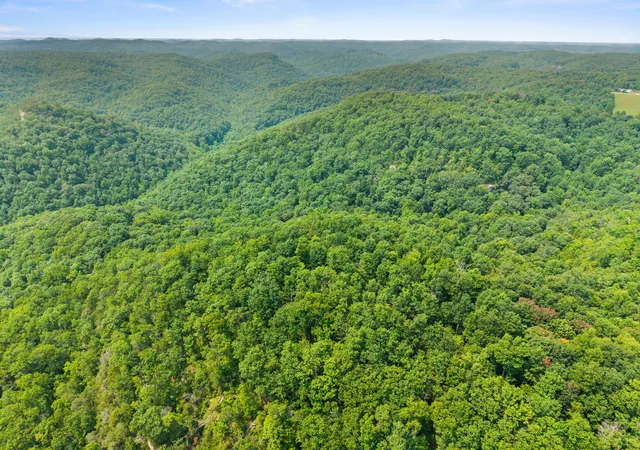Photo 1 of Land for sale at Lot 81 314 Oak Hl Dr, Frenchburg, KY 40322 | MLS# 26020935 | Listing updated on 2026-08-04