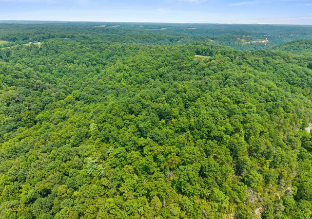 Photo 2 of Land for sale at Lot 81 314 Oak Hl Dr, Frenchburg, KY 40322 | MLS# 26020935 | Listing updated on 2026-08-04