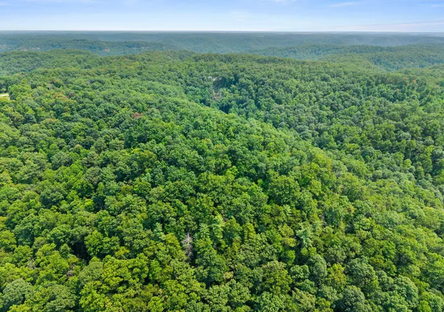 Photo 2 of Land for sale at Lot 81 314 Oak Hl Dr, Frenchburg, KY 40322 | MLS# 26020935 | Listing updated on 2026-08-04