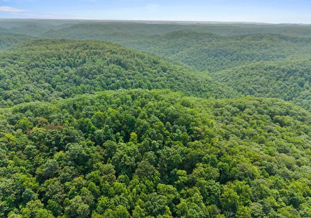 Photo 3 of Land for sale at Lot 81 314 Oak Hl Dr, Frenchburg, KY 40322 | MLS# 26020935 | Listing updated on 2026-08-04