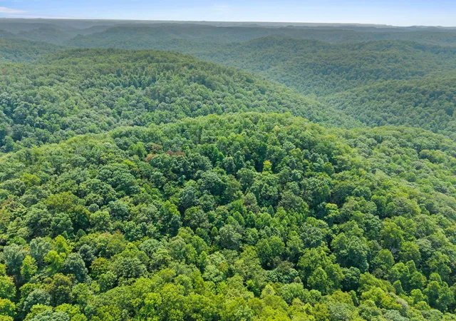 Photo 1 of Land for sale at Lot 82 300 Oak Hl Dr, Frenchburg, KY 40322 | MLS# 26021001 | Listing updated on 2026-08-05