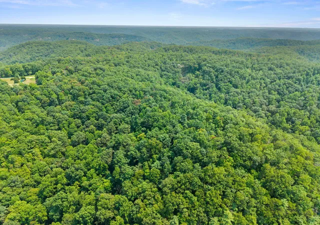 Photo 2 of Land for sale at Lot 82 300 Oak Hl Dr, Frenchburg, KY 40322 | MLS# 26021001 | Listing updated on 2026-08-05