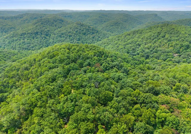 Photo 3 of Land for sale at Lot 82 300 Oak Hl Dr, Frenchburg, KY 40322 | MLS# 26021001 | Listing updated on 2026-08-05