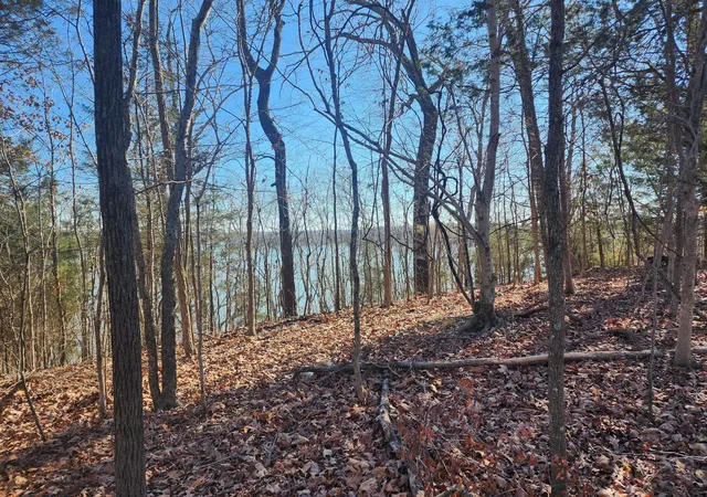 Photo 4 of Land for sale at 999 Parkview Shrs Rd, Cadiz, KY 42211 | MLS# 26020297 | Listing updated on 2026-07-30