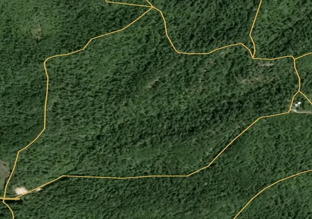 Photo 11 of Land for sale at 0 Spaws Crk Rd, West Liberty, KY 41472 | MLS# 26020315 | Listing updated on 2026-07-30
