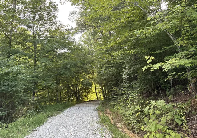 Photo 2 of Land for sale at 0 Spaws Crk Rd, West Liberty, KY 41472 | MLS# 26020315 | Listing updated on 2026-07-30