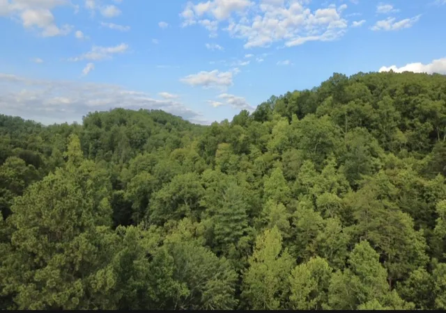 Photo 2 of Land for sale at 0 Spaws Crk Rd, West Liberty, KY 41472 | MLS# 26020315 | Listing updated on 2026-07-30